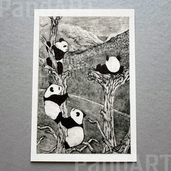パンダのポストカード 八木彩佑 「What are you doing ?」 銅版画作品プリント 2枚目の画像