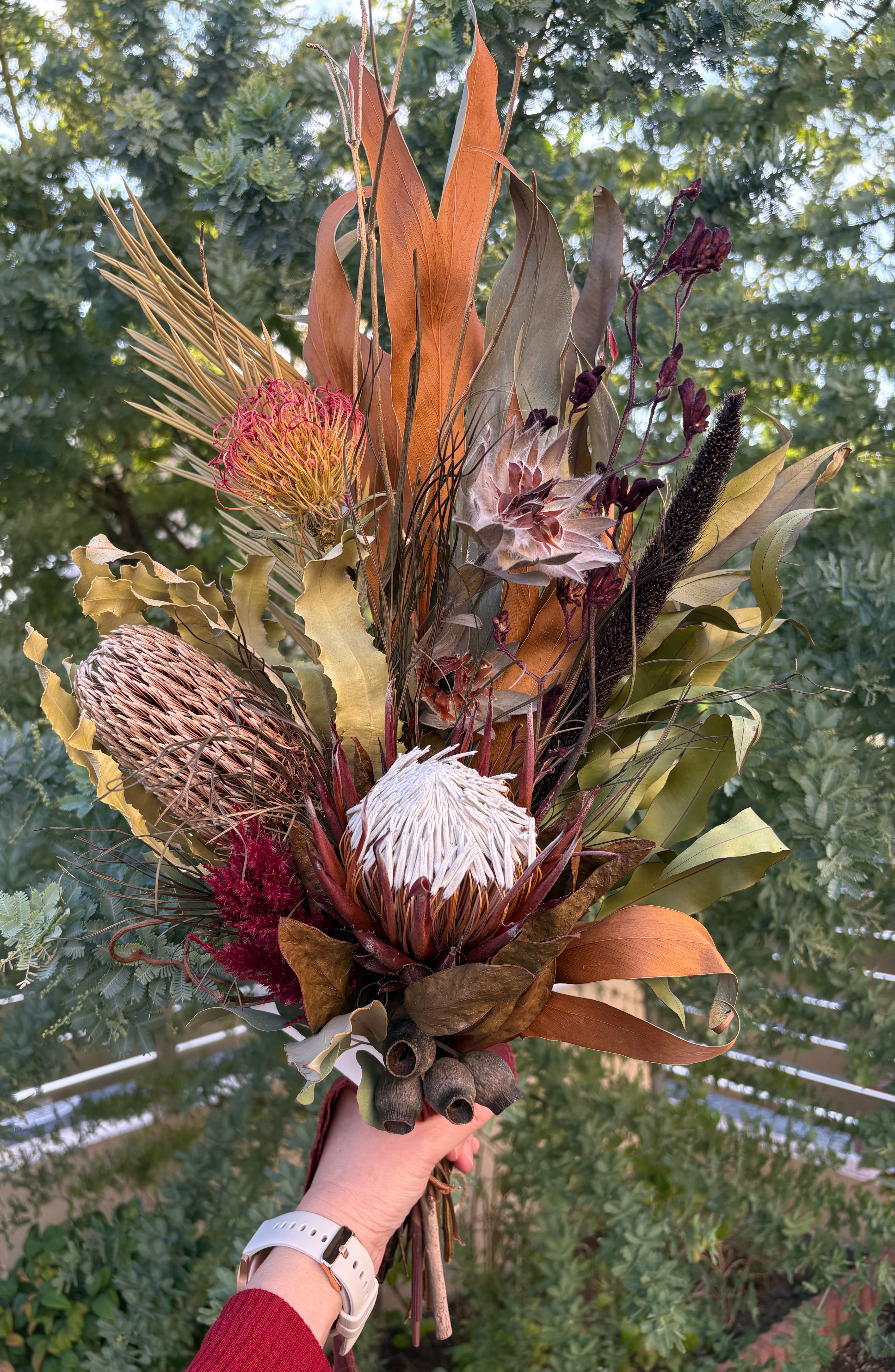 キングプロテアのドライフラワースワッグ　お祝いレッドカラーアレンジ✨