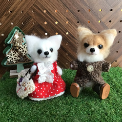 ロングコートチワワ（クリーム）伏せポーズ❣️ 羊毛フェルト コーギー