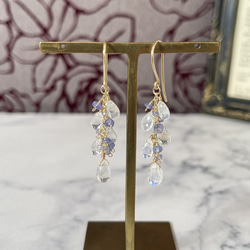 初夏を彩る藤の花ピアス/イヤリング ピアス（フック・チェーン