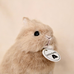 【確認用】ぬいぐるみみたいなくまさん✽羊毛フェルト 目が開きそうなベビーうさぎさん ネザーランドドワーフ オレンジ 羊毛