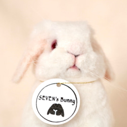 目が開きそうなベビーうさぎさん ネザーランドドワーフ オレンジ 羊毛