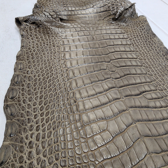 ワニ革 クレイフィニッシュ モールグレー No.C009199 16枚目の画像
