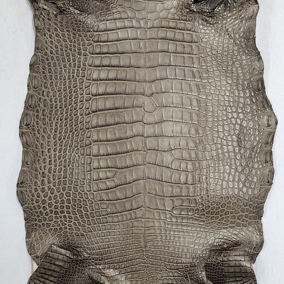 ワニ革 クレイフィニッシュ モールグレー No.C009199 5枚目の画像