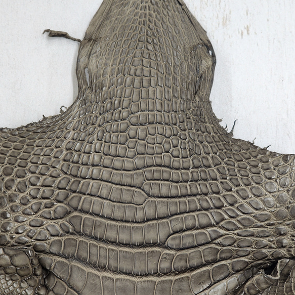 ワニ革 クレイフィニッシュ モールグレー No.C009199 4枚目の画像