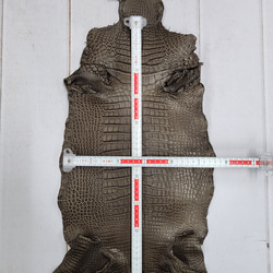 ワニ革 クレイフィニッシュ モールグレー No.C009199 7枚目の画像