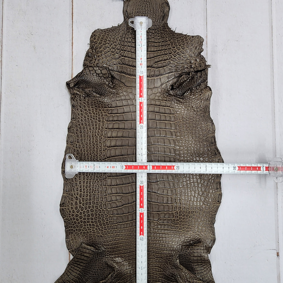 ワニ革 クレイフィニッシュ モールグレー No.C009199 7枚目の画像