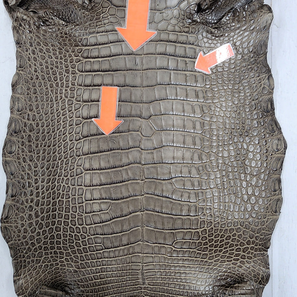 ワニ革 クレイフィニッシュ モールグレー No.C009199 11枚目の画像