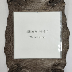 ワニ革 クレイフィニッシュ モールグレー No.C009199 9枚目の画像