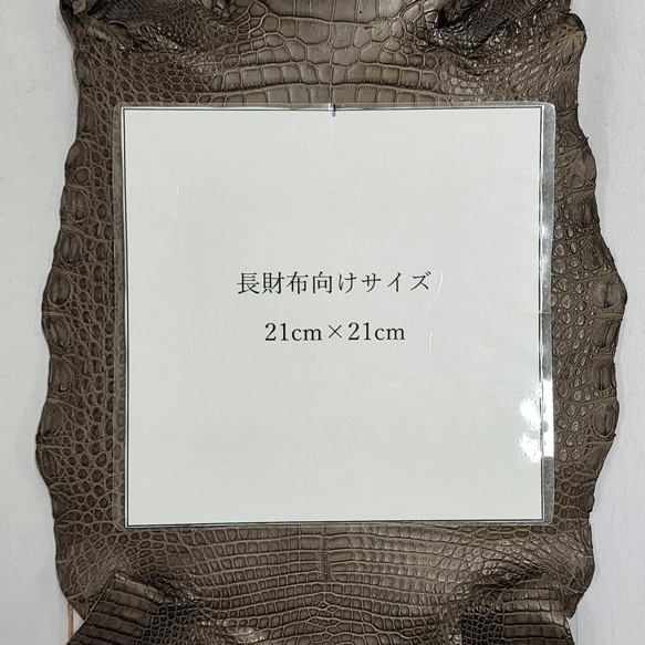 ワニ革 クレイフィニッシュ モールグレー No.C009199 9枚目の画像