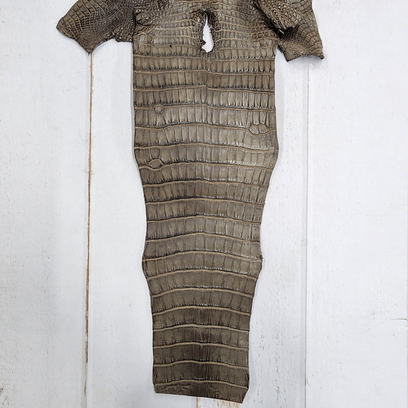 ワニ革 クレイフィニッシュ モールグレー No.C009199 6枚目の画像