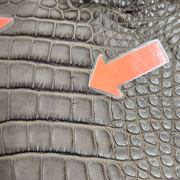 ワニ革 クレイフィニッシュ モールグレー No.C009199 14枚目の画像