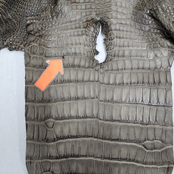 ワニ革 クレイフィニッシュ モールグレー No.C009199 15枚目の画像