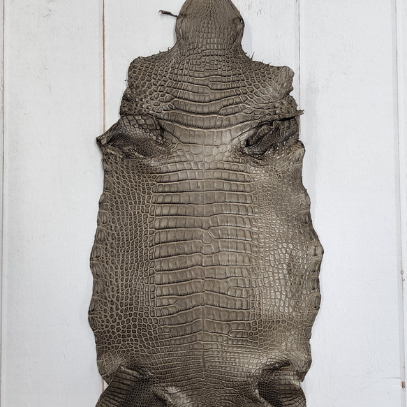 ワニ革 クレイフィニッシュ モールグレー No.C009199 1枚目の画像