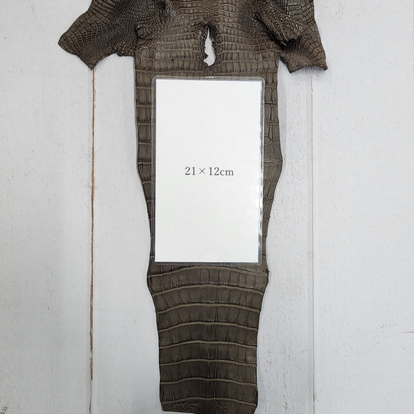 ワニ革 クレイフィニッシュ モールグレー No.C009199 10枚目の画像