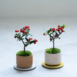 温めあうシマエナガのリース プリザーブドリース フラワーギフト