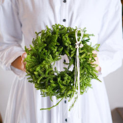 春のミモザとグリーンのナチュラルなフライングボール＊ドライフラワー