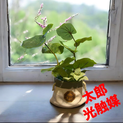 光触媒 人工観葉植物 ウォールグリーン フェイクグリーン モンステラ75