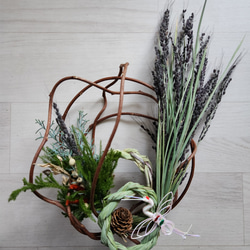 可愛い♪ユーカリ ポポラス テラコッタ鉢植え 苗 シンボルツリーに