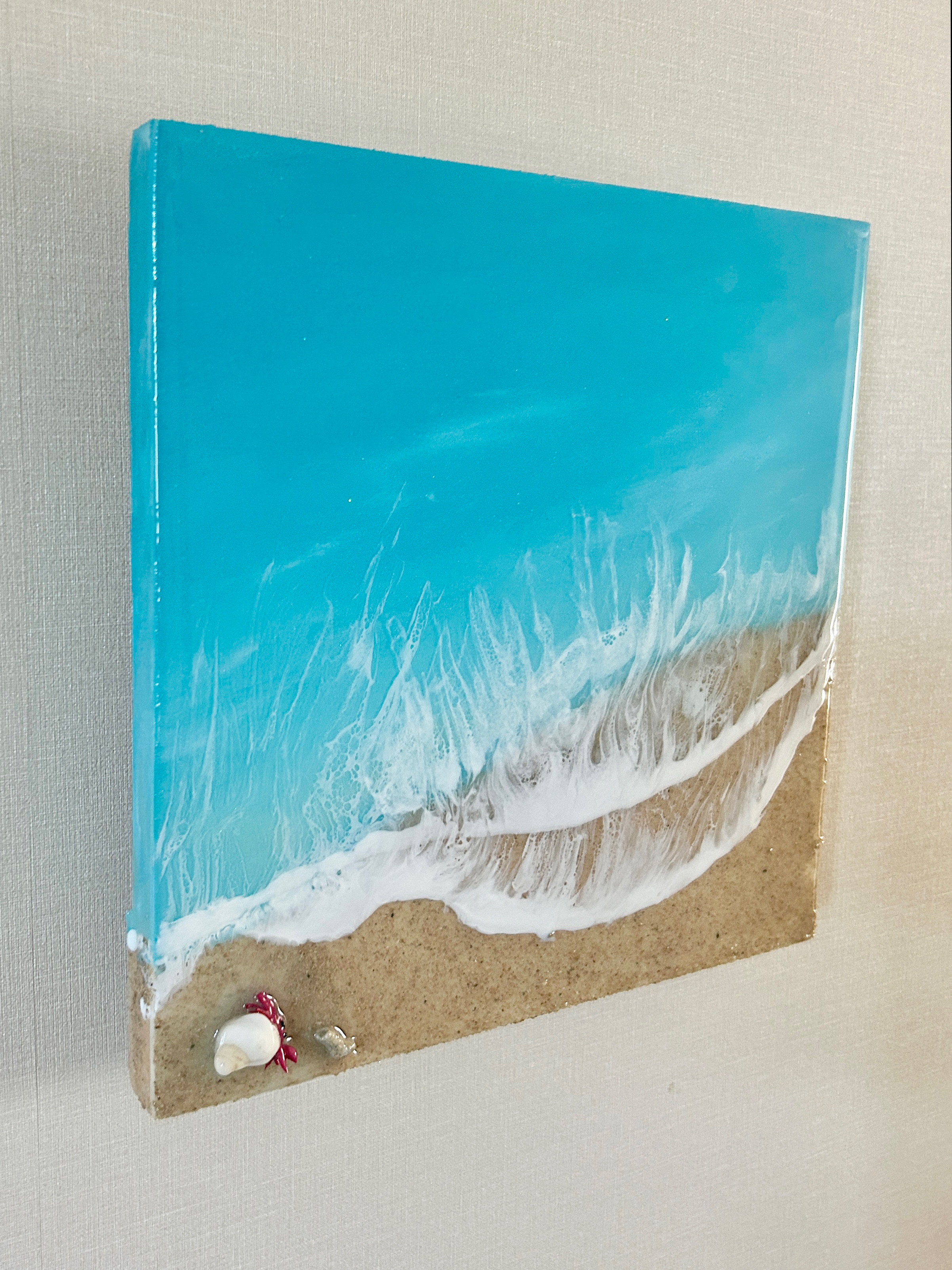 【送料無料】ヤドカリさんの朝散歩