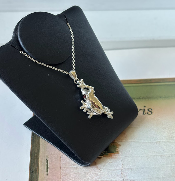 H様ご注文　おめ目がガーネットアカメアマガエルのネックレス 1枚目の画像