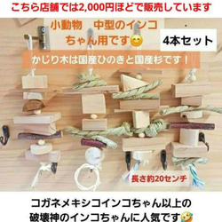 112⭐ 滑り台大サイズ‼ バードトイ インコ 文鳥 スケボー おもちゃ