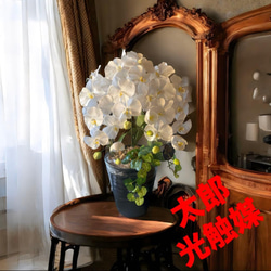 光触媒 人工観葉植物 ウォールグリーン フェイクグリーン フラワー