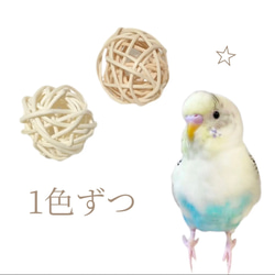 日本製 セキセイインコ 鳥 インコ ブランコ TC22：グリーン おもちゃ