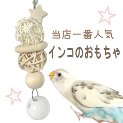 インコ かじりおもちゃ 約15cm 日本製  天然木 セキセイインコ 木製  スター ラタンボール プラスチック鈴 2枚目の画像