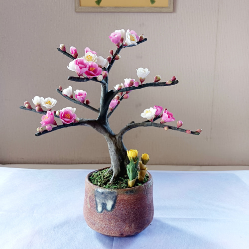 新年に紅白の梅で祝う (クレイフラワー) 盆栽 チェリー 通販 20204961