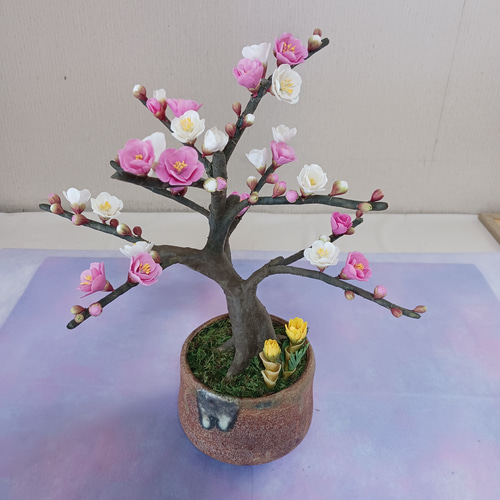 新年に紅白の梅で祝う (クレイフラワー) 盆栽 チェリー 通販 20204961