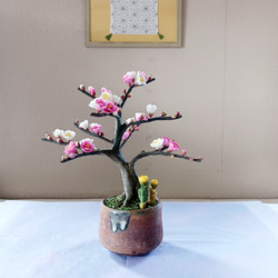 5e0b0c6a9561003889c66fda212d00