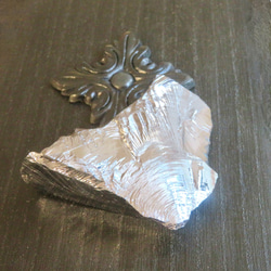 美しい貝殻標本◇クレナイガンゼキボラ・ピンクムレックス／51グラム