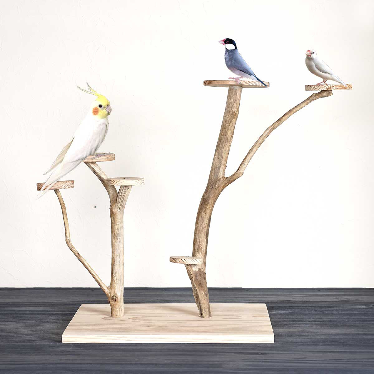 流木の止まり木【バードランドの子守歌】バードスタンド、止まり木、流木、流木アート、飾り棚、１３５