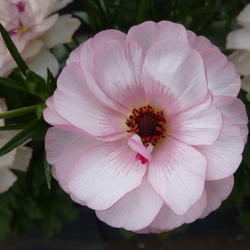 95afee17c3b2ba057fd420d606c820