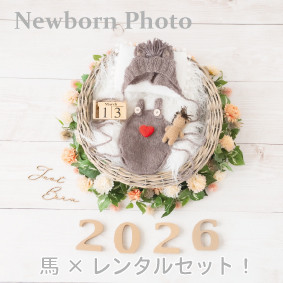 【レンタル】『馬』ニューボーンフォトセット①(カゴ、床、装飾、衣装など)ダークブラウン
