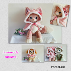 ダッフィー シェリーメイ パルパルーザ コスチューム ペア ドナルド ク