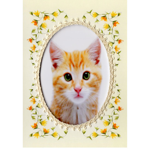 ♥海外からやってきた物♥親子猫のフォトフレーム　写真立て 海外からやってきた物 親子猫のフォトフレーム 写真立て ♥海外