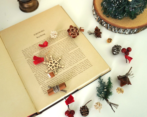 毎年飾れる 木の実とスパイスのナチュラルガーランド ドライフラワー