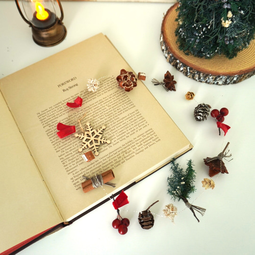 毎年飾れる 木の実とスパイスのナチュラルガーランド ドライフラワー