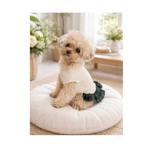 犬服 ワンピース 小型犬 アランニット チェック フリル ナチュラル 春