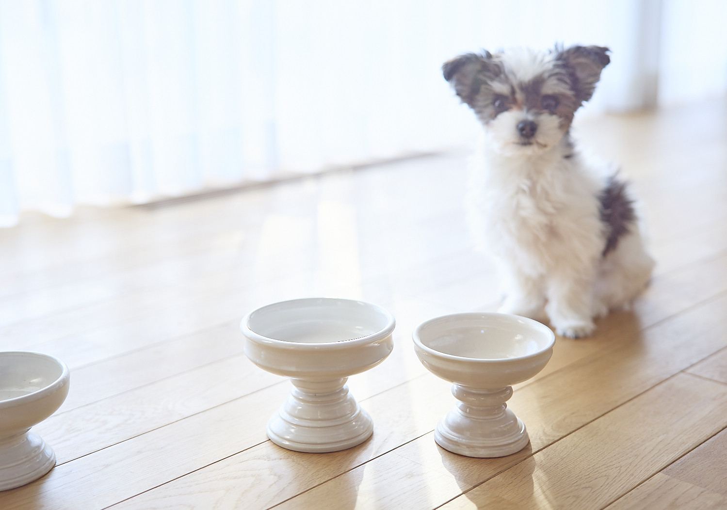 オブジェの様な フードボール 陶器　ペット　猫 小型犬　餌入れ　水入れ　fb-4