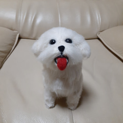 羊毛フェルト 甲斐犬 羊毛フェルト Kingこうた 通販 16436002｜Creema