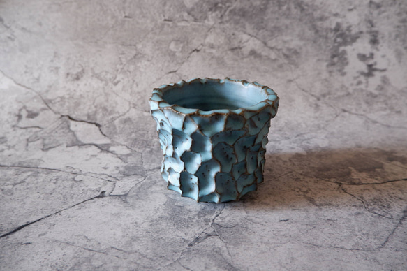 3.5号ヒスイ青鉢352　塊根植物　多肉植物　アガベ　盆栽　植木鉢　作家鉢　鉢皿　沖縄 1枚目の画像