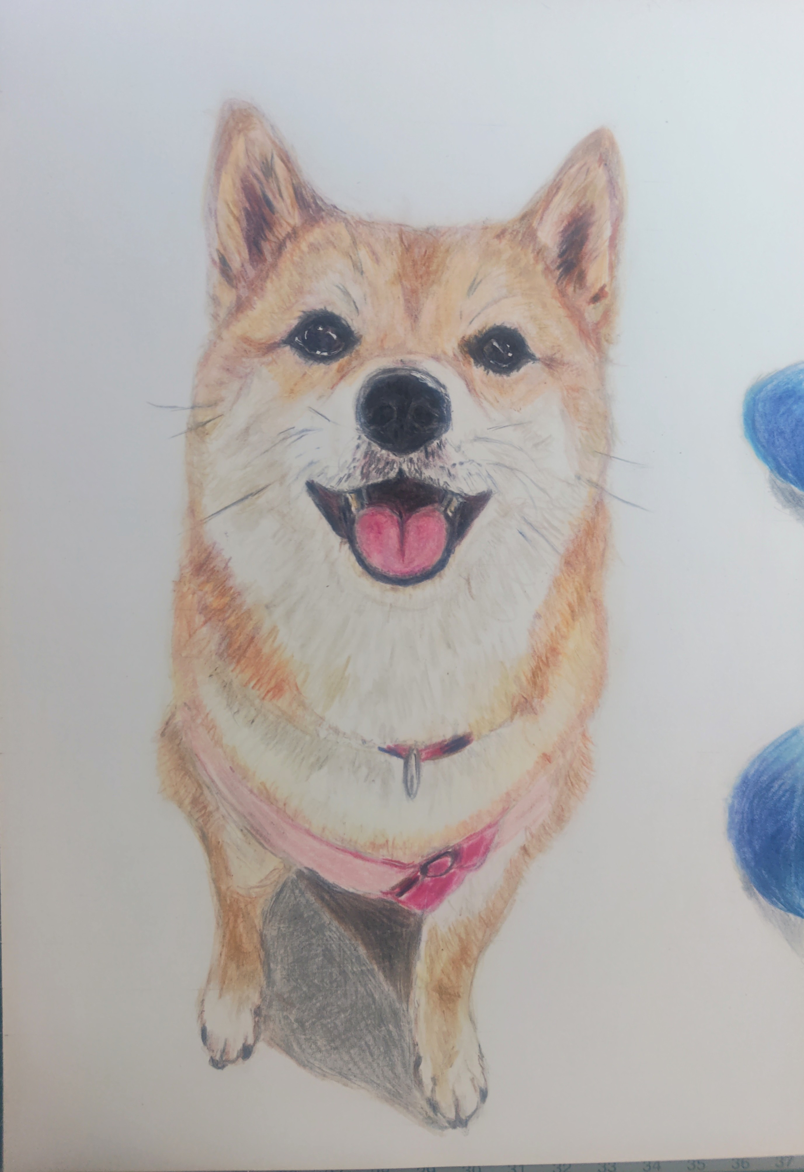 見本品になります↑ 色鉛筆画オーダーA4サイズ 額付き