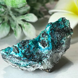 レインボー【希少】オパール アンモナイト 化石 天然石 東洋占星術師の