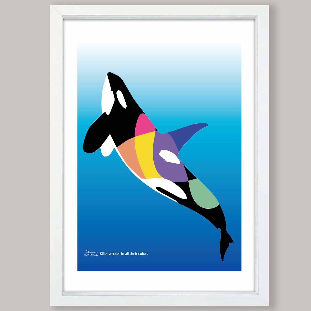 色彩のシャチ　送料無料　イラスト　あらゆるお部屋のポスター　ポスター　アートポスター　アート/sei検索新着順　3829