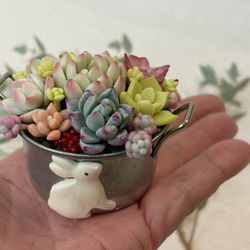 ぷくぷく多肉♡ 乙女心、木箱、樹脂粘土、寄せ植え その他インテリア