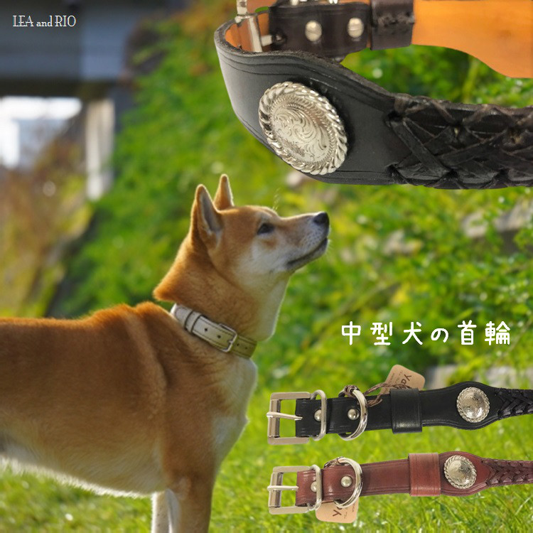 首輪 カラー 中型犬 南国風 本革 レザー 革製 ダークブラウン 散歩 犬服 ドッグウェア R57 R59 R61