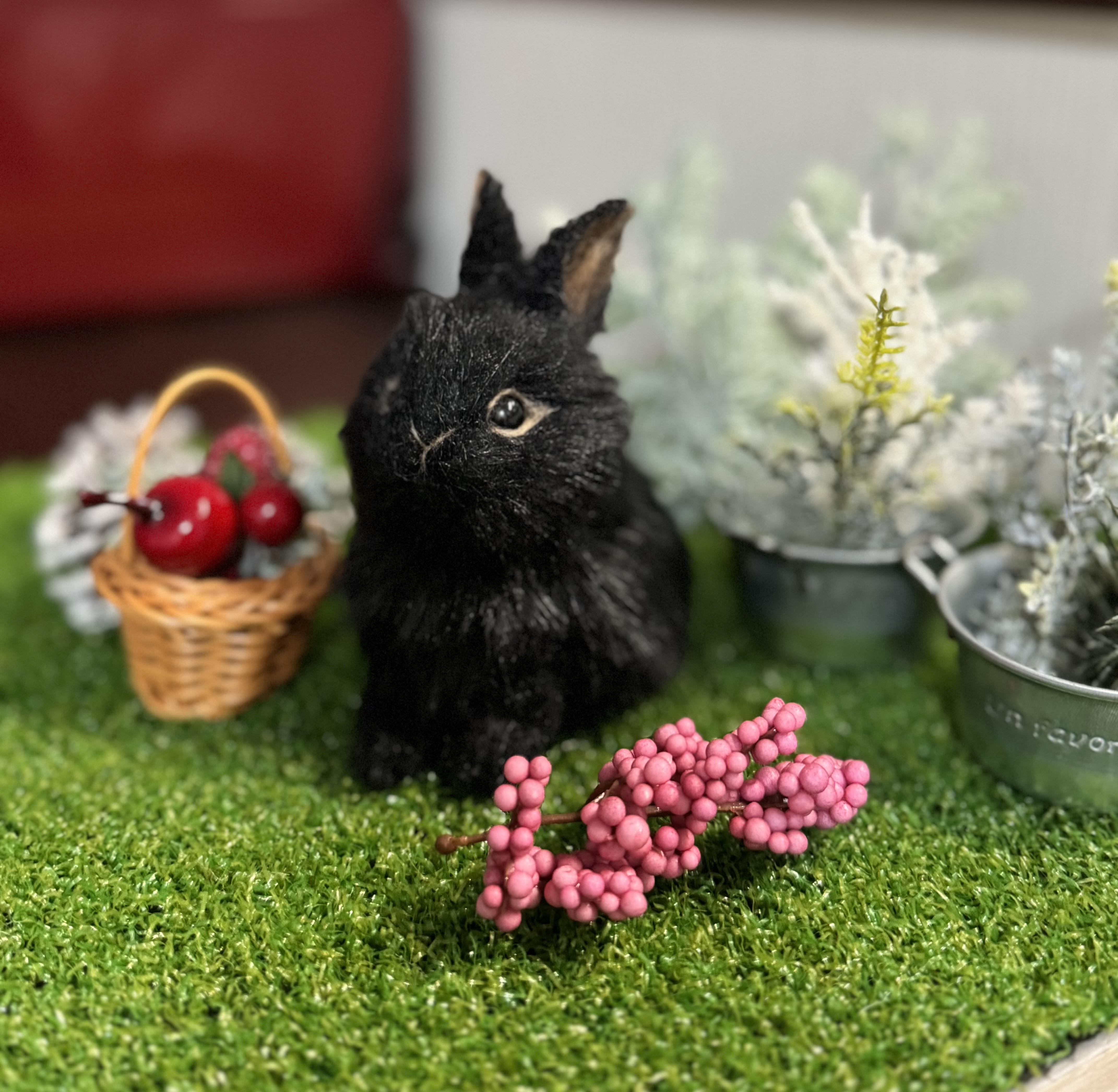 [1点もの］ここにいていいんだよ」うさぎのクロ